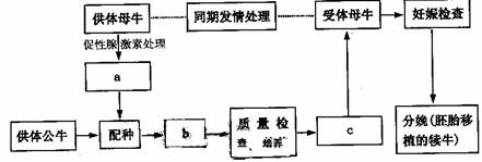 敦煌医疗新篇章：中山大学附属肿瘤医院助力提升医疗水平(图1)