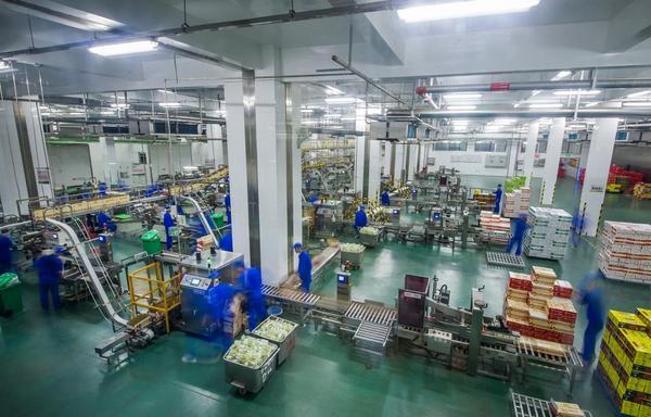 金锣：AI识别、数字化溯源层层加码让消费者“食肉无忧”(图2)
