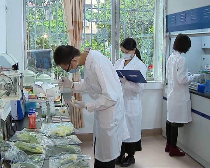 好棣生物以透明为尺丈量精准营养的品质高度(图1)